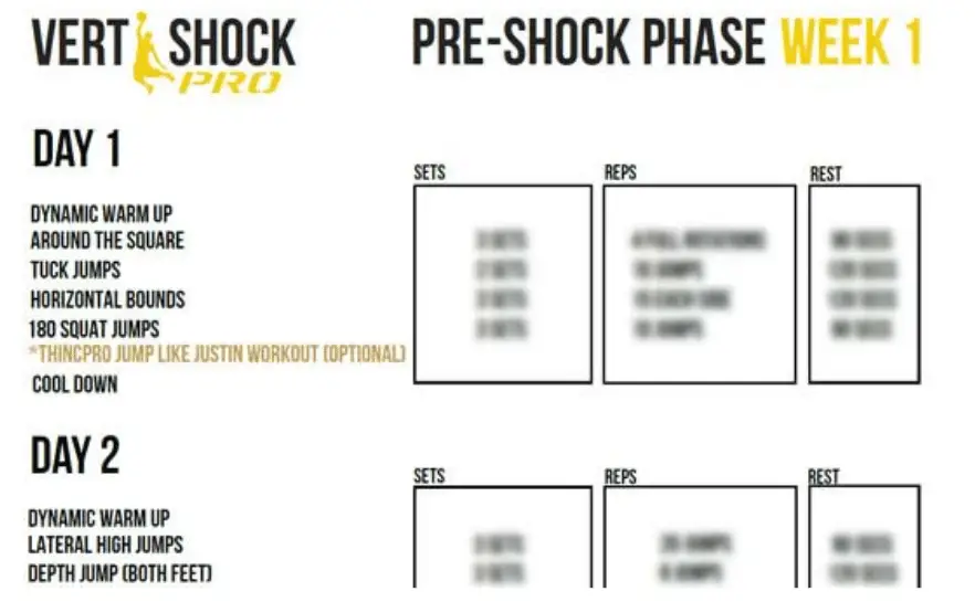 vert shock phases