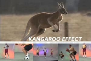 Kangaroo Effect